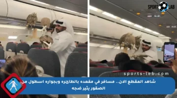 شاهد المقطع الآن.. مسافر في مقعده بالطائرة وبجواره أسطول من الصقور يثير ضجة